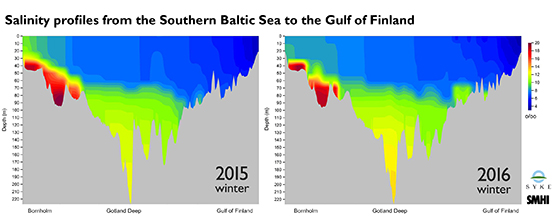 Salinity profiles 2015-2016